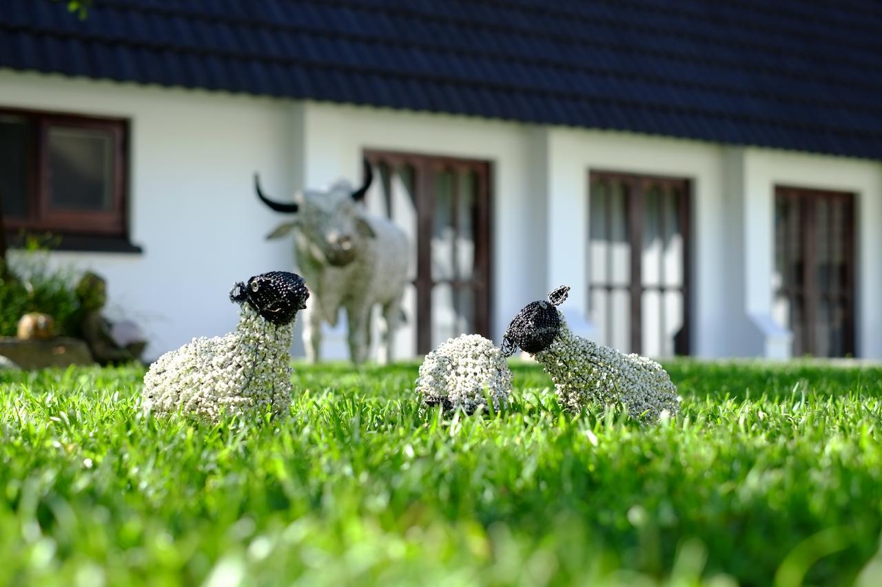 Kilmorna Manor Guest House Shoemanskloof Екстер'єр фото